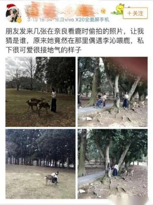 t0146e282db70df7f4f.webp.jpg